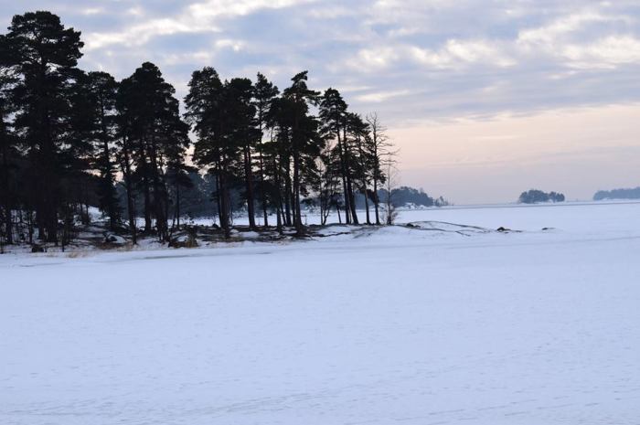 16865065_10155142956089489_5375649189995191390_n