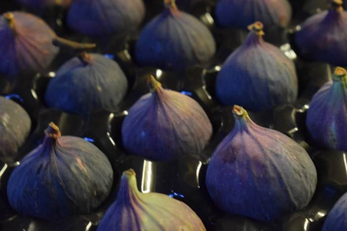 23519189_1971444019737173_188566816220045207_n